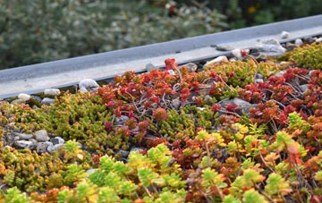 the cost of Ruan High Lanes green roof installation