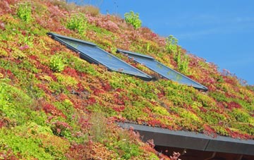 Ruan High Lanes living roof systems