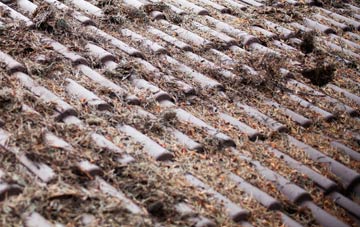 Ruan High Lanes roof cleaning companies