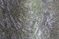 Ruan High Lanes fibreglass roof work