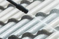 rated Ruan High Lanes roof cleaning companies